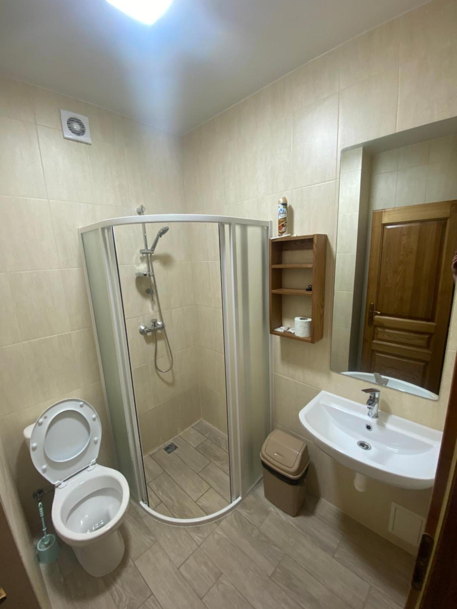 Apartment у дохтора відпочинок у карпатах Golubinoye
